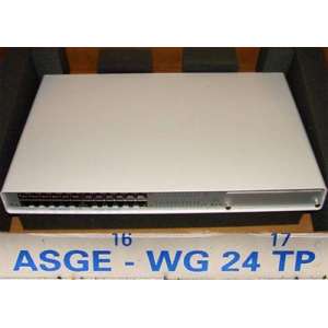 ASGE - WG 24 TP HIRSCHMANN