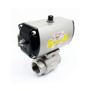 S085S10 FLOWSERVE