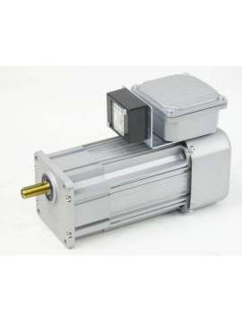 gv-12-0060-10 sm-tpg