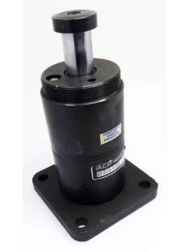 scs 38x50-r-81074-usd-ace