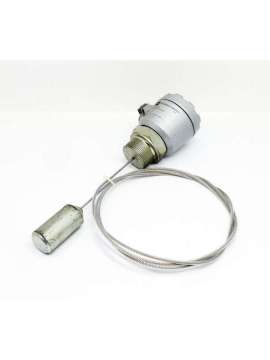 21360-g11a1aa-usd-endress+hauser