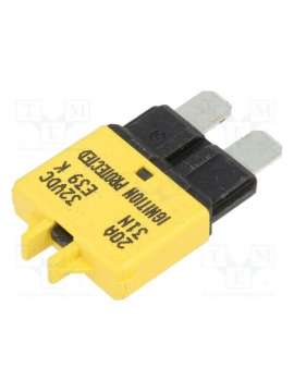 e39-20k-2-01-gloso