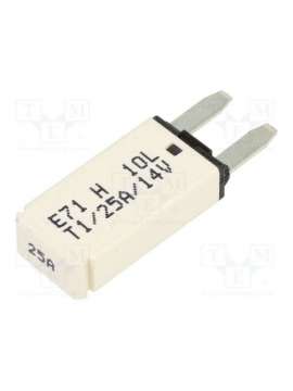 e71-25h-4-01-gloso