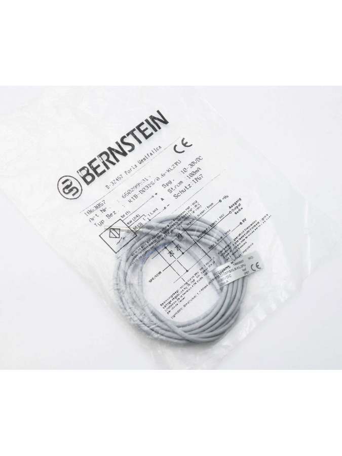 6502999019-bernstein