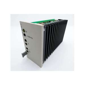 24 DCS 100.124-10, 24DCS100.124-10 SCHILLER ELECTRONIC USADO
