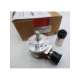 iev58-00026-tr electronic