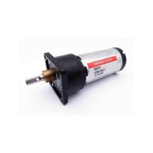 g206579/2/1-usd-maxon motor