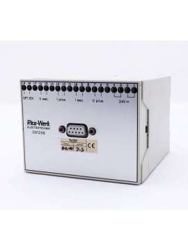 591296-usd-rico-werk