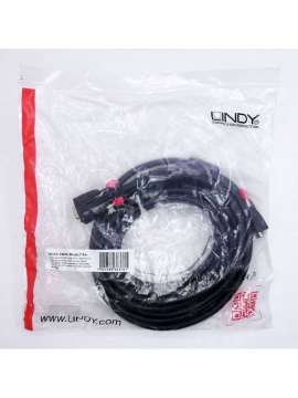 36376-lindy