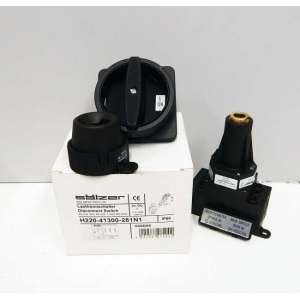 H22-41300-281N1 SAELZER