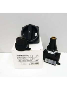 h22-41300-281n1-saelzer