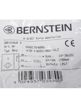 6502784006-bernstein