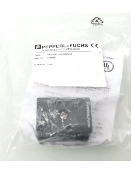 216026-pepperl+fuchs