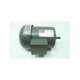 tf.50504-usd-weg