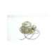 4lc-kk45-f1a-usd-sor