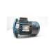 m80b4-usd-pujol