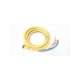 302000a01f120-usd-woodhead