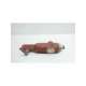 27ca23-m40 09/04-usd-farris