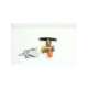 bg404-usd-clark