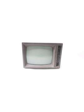 38-v20nla-ap-usd-electrohome