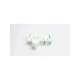 us6j1-usd-ferraz shawmut