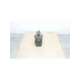 i6ecy 045 b38 1r00 c1-usd-denison