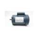 c4c17fc32b-leeson