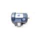 c6t11fb2f-leeson