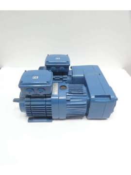 fg06-demag