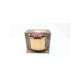 pt-100113-00 cs3000l-rex power magnetics