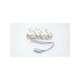 103sr13a-1-micro switch
