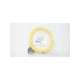 ccb-m8dsio-05-cognex