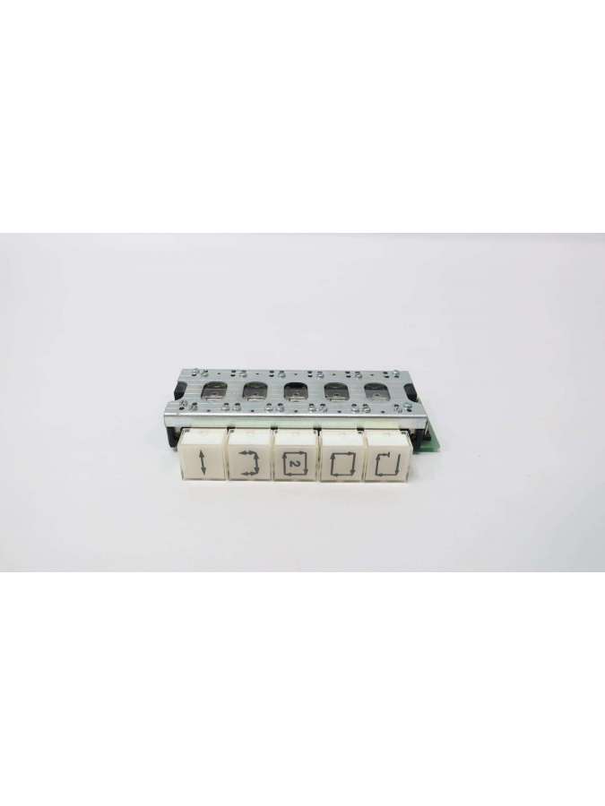 tt 80/31 nr.b1-usd-alfa