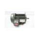 c874a-usd-us motors
