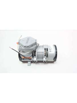 moa-p101-aa-gast