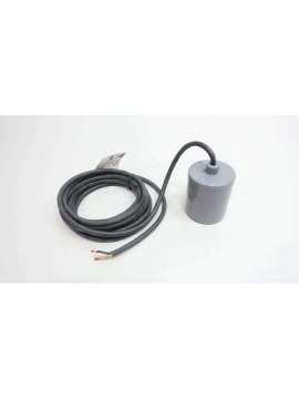 a2e23u-xylem