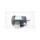c6t17fb175a-usd-leeson
