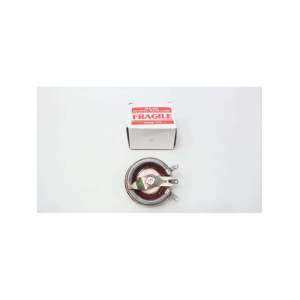 RLS1K25 OHMITE