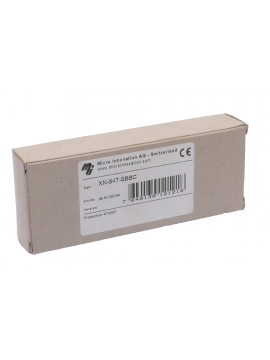 xn-s4t-sbbc-micro innovation