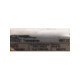 50029081-usd-leuze electronic