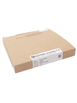 225696-pepperl+fuchs