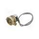 156265bspp-gems sensors