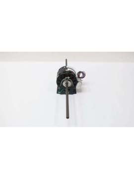 f42f31a01-century