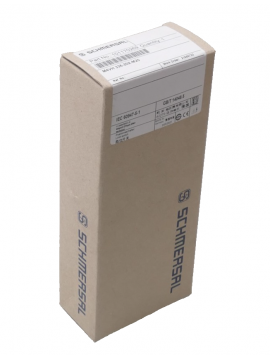 101170269-schmersal
