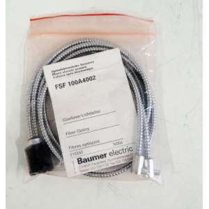 FSF100A4002 BAUMER ELECTRIC