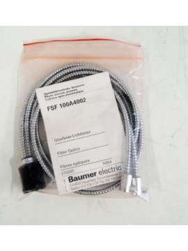 fsf100a4002-baumer electric