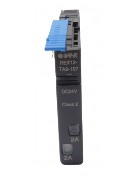 rex12-ta2-107-dc24v-2a/2a-usd-e-t-a