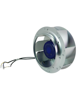 bl-b250d-ec-04-blauberg