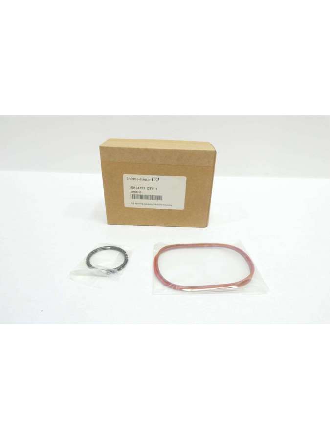 50104753-endress hauser