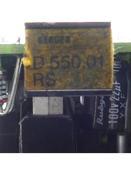 d550.01rs-usd-berger lahr